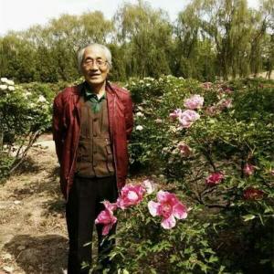 刘积禄