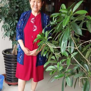 李炳云